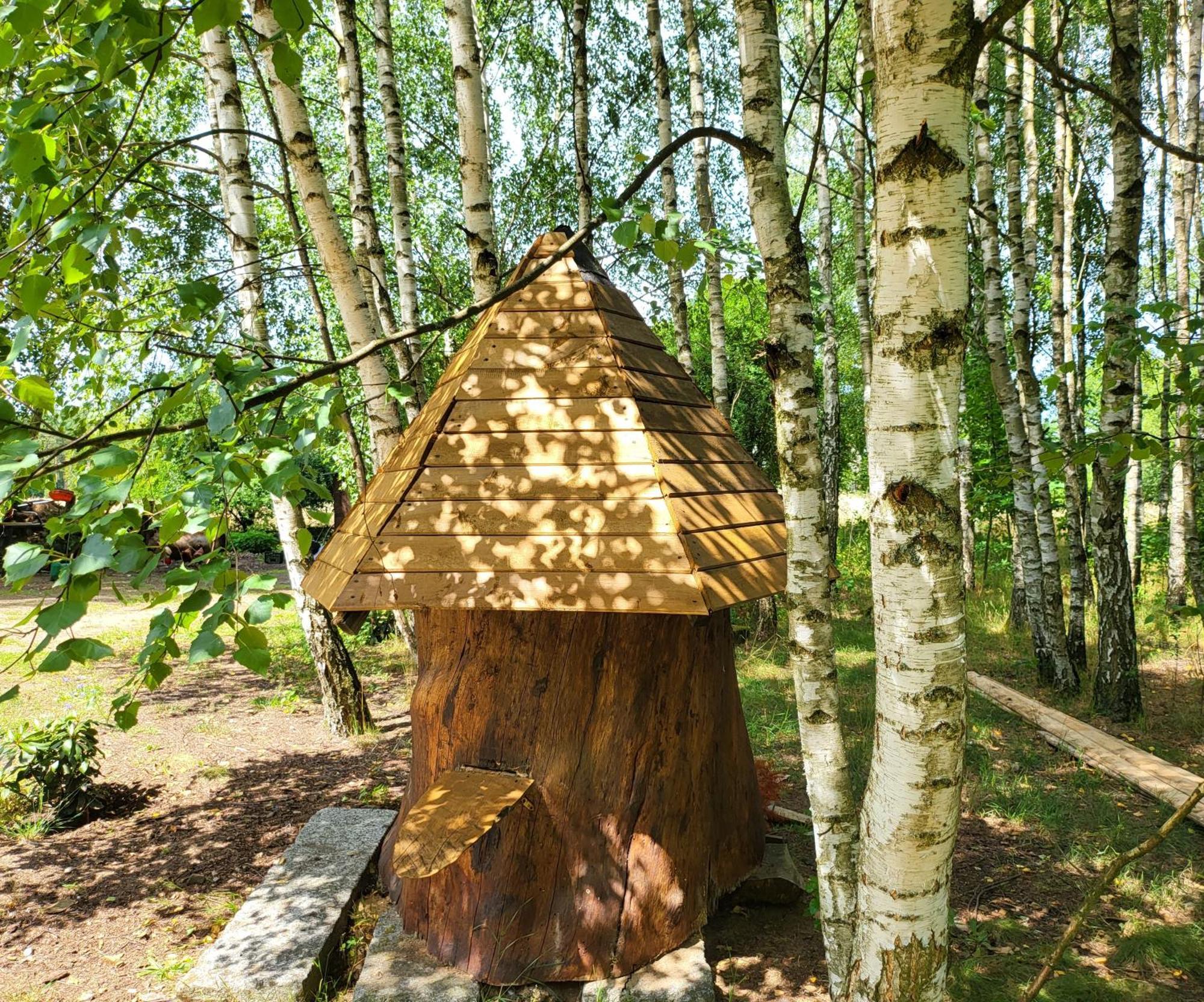 Borowe Chatki Nad Lubiszewem Lipusz Экстерьер фото